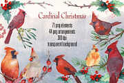 cardinal christmas watercolor, a Decorative Illustration by Art & Things (Thumbnail 2 of 11)