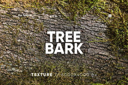 30 Tree Bark Textures HQ, a Texture Graphic by CCPreset