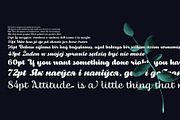 Thephir variable, a Script Font by NREY (Thumbnail 7 of 8)