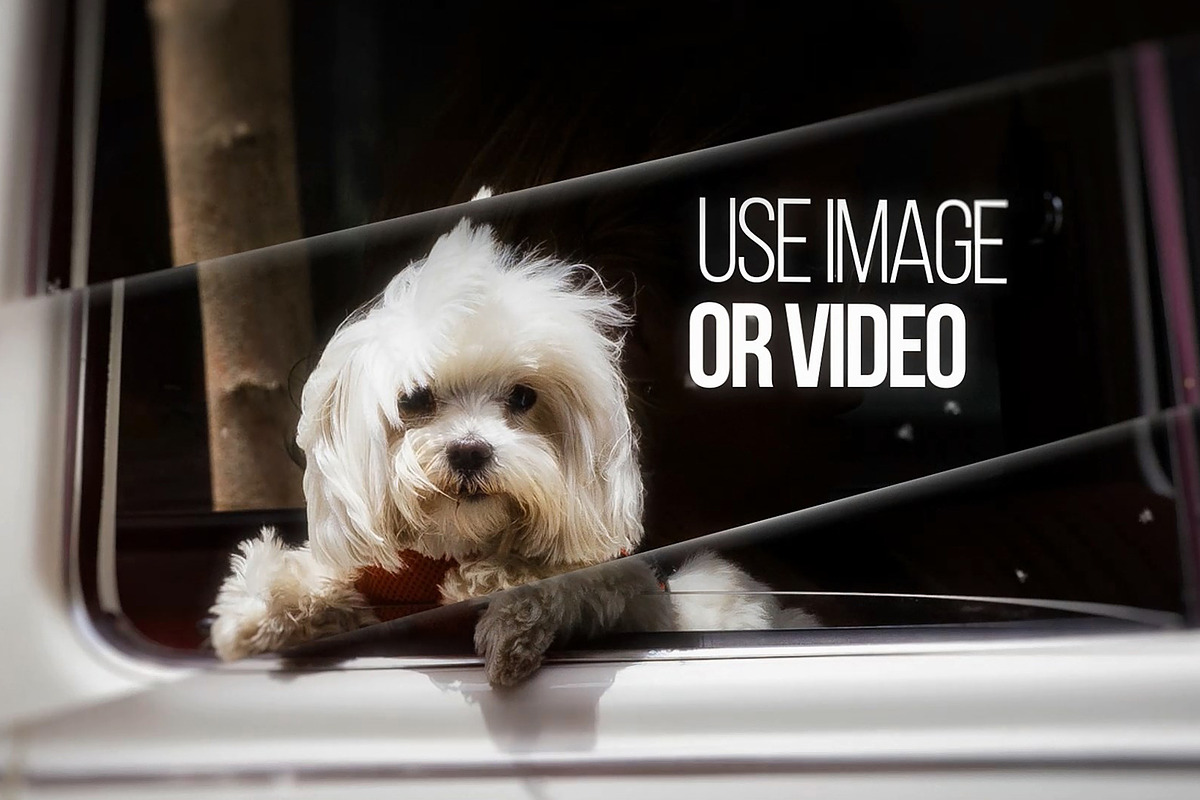 Photo Video Slideshow, a Templates & Theme by TrixVFX (Photo 4 of 4)