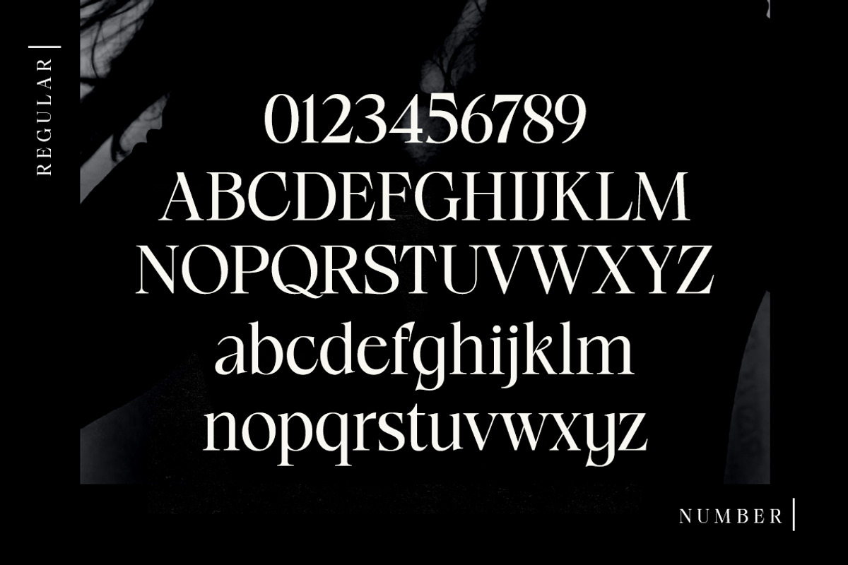 Radilen Aveline, a Serif Font by Dora Typefoundry (Photo 15 of 18)