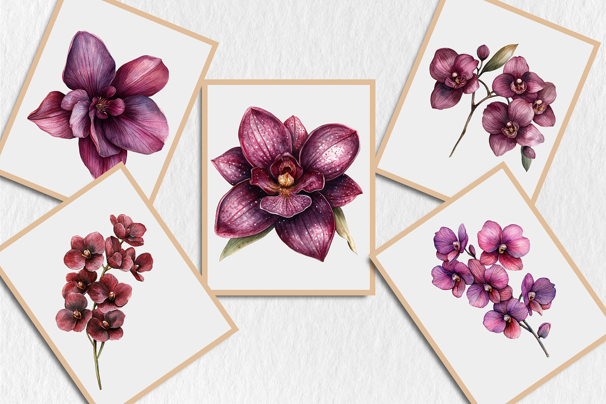 Watercolor Burgundy Orchids Clipart, a Seasonal Illustration by Rose Art (Photo 6 of 6)