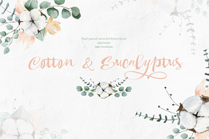 Cotton And Eucalyptus