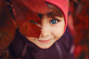 7 x Lightroom Presets, Rich Tones, an Action Add-On by Kzara Visual Concepts (Thumbnail 2 of 8)