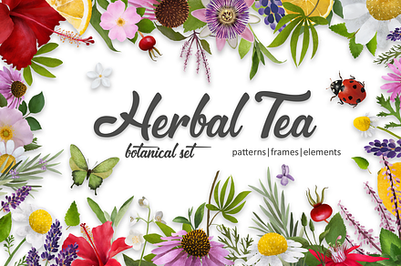 Herbal tea. Botanical Set