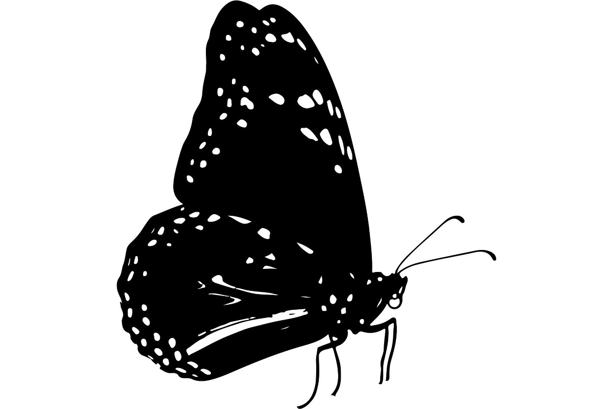 Butterfly Silhouette Bundle, an Object Graphic by Designer_Momina (Photo 9 of 20)