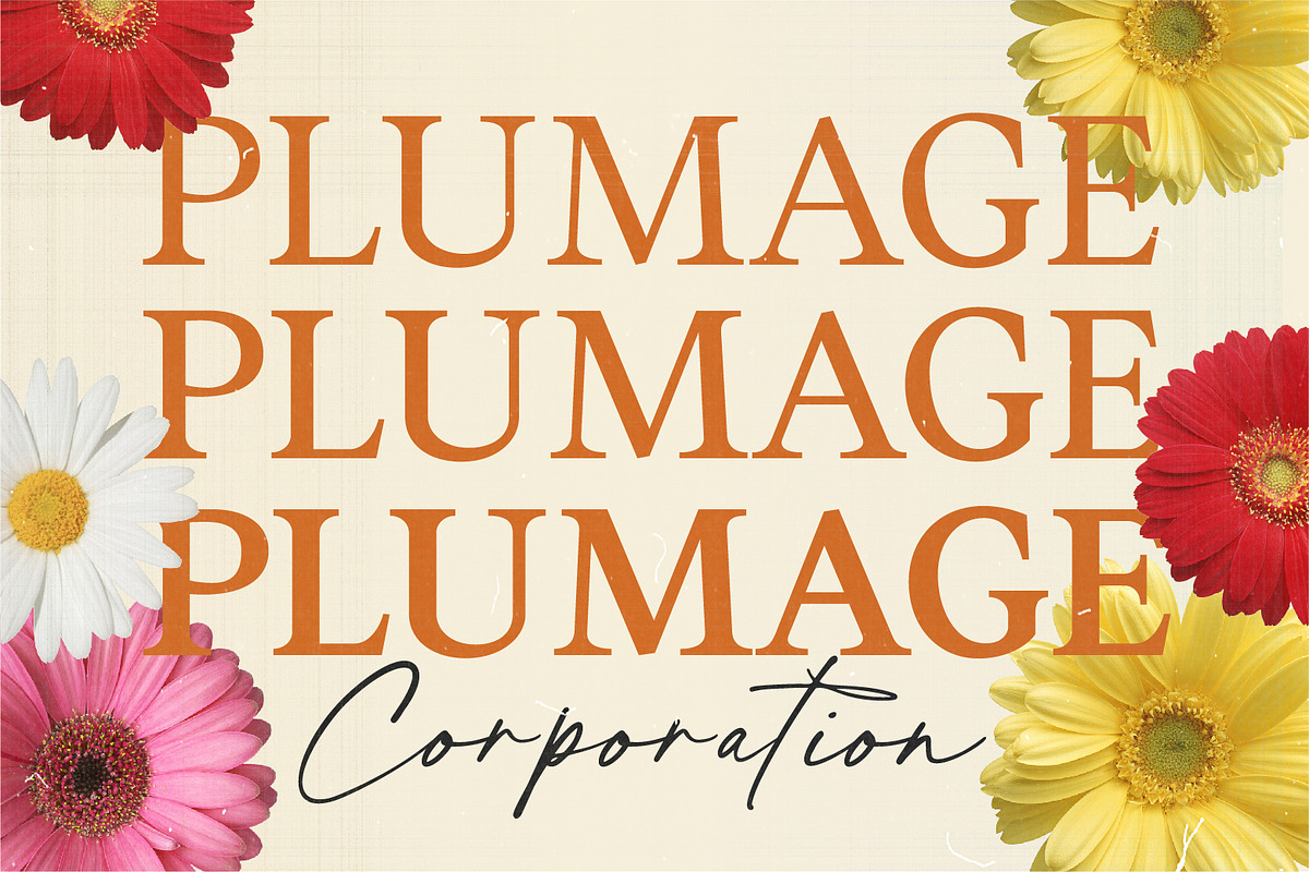 Ascendant | Font Duo, a Handwritten Font by Ef Studio (Photo 3 of 12)
