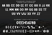 Super Cowboy, a Script Font by FreshTypeINK (Thumbnail 8 of 8)