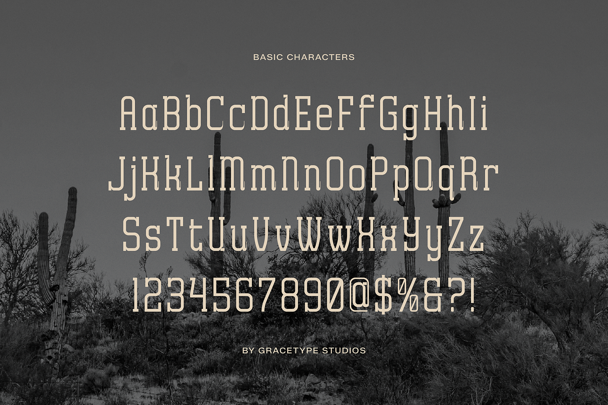 Archives Classic | Slab Serif Font, a Slab Serif Font by gracetype_studio (Photo 10 of 12)