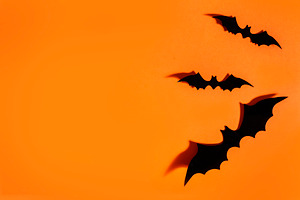 Halloween background Scary bat, a Holiday Photo by hitdelight