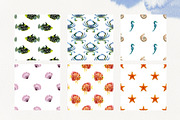 Marine Watercolor Clipart, an Animal Illustration by YarovaArt (Thumbnail 11 of 19)
