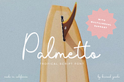 Palmetto, a Script Font by Bruised Goods (Thumbnail 1 of 12)