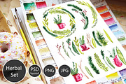 Christmas Herbal watercolor set, a Decorative Illustration by Olesya Morokhovets (Thumbnail 1 of 7)