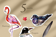 Birds activities for kids, an Animal Illustration by ArtSpotVeronika (Thumbnail 4 of 6)