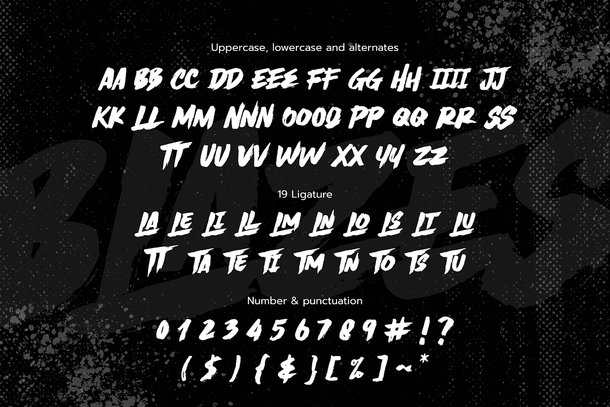 BLIZES Brush Font, a Handwritten Font by Negara Studio (Photo 8 of 9)