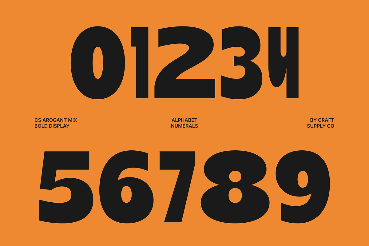 CS Arogant Mix, a Sans Serif Font by Craft Supply Co. (Photo 3 of 8)