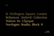 Euclid Serif | 180 Font Files, a Serif Font by Ws Studio (Thumbnail 10 of 12)