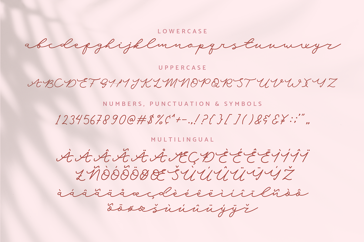 Hello Austen | Script Font, a Script Font by Suntype | Sunshine Std (Photo 4 of 8)