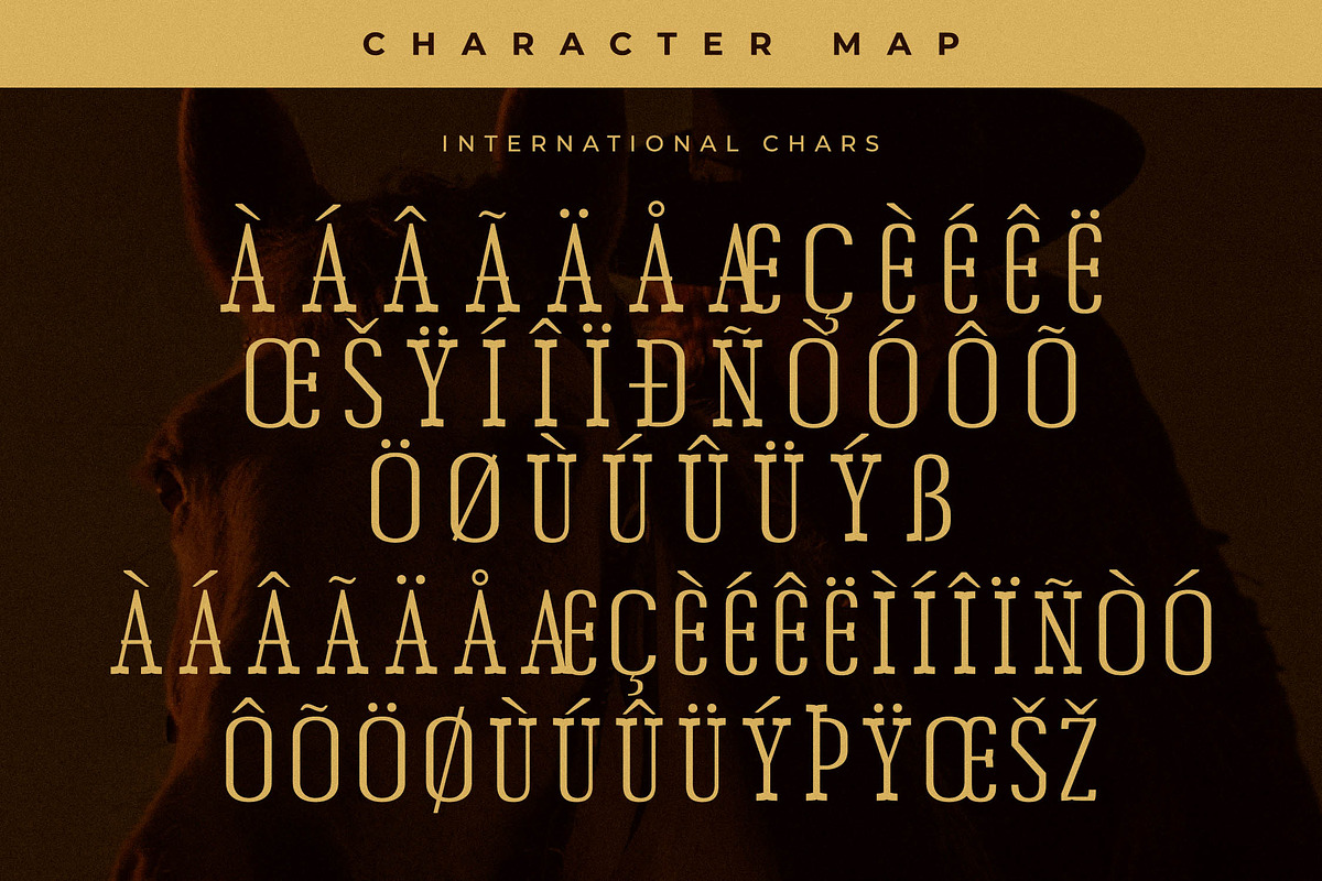 Chery Bomber A Slab Serif Display, a Slab Serif Font by Storytype Studio (Photo 13 of 15)
