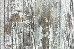 Old grunge wood with peeling paint, a Wallpaper Photo by KYNA STUDIO