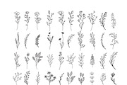 200 Wildflowers Line Art Botanicals, an Illustration by LifestyleCraftCo (Thumbnail 4 of 6)