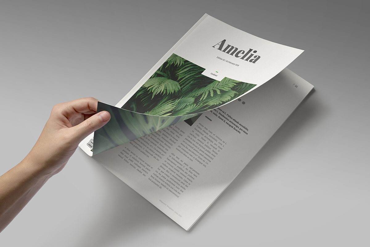 Indesign Magazine Template #6, a Magazine Template by spidergraph (Photo 2 of 12)