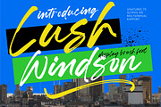 Lush Windson Display Brush Font, a Script Font by Letterena Studios Script (Thumbnail 1 of 10)
