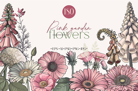 Pink garden flowers
