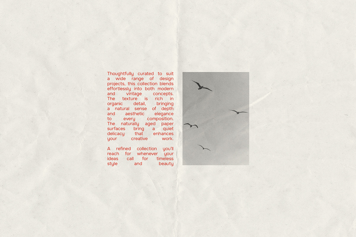 Vintage Paper Textures 1, a Texture Graphic by Aesthetic Eye (Photo 14 of 21)