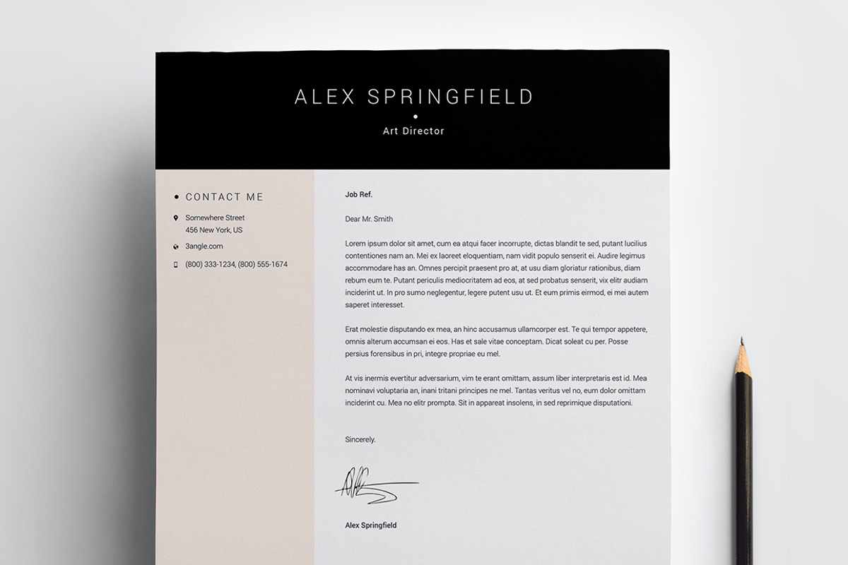 Resume / CV - Quint, a Resume Template by 3Angle (Photo 4 of 5)