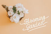 Yunita a Handwritten Script Font, a Script Font by Dawnside Graphic (Thumbnail 7 of 11)
