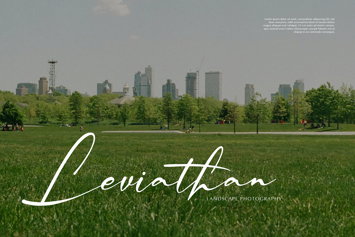 Palmintte | Handwritten Script, a Script Font by gracetype_studio (Photo 6 of 12)
