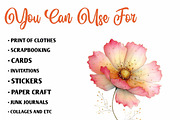 Watercolor Spring Cosmos Flowers Cli, an Illustration by CreationArt (Thumbnail 2 of 7)
