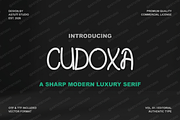 Cudoxa | Modern Luxury Serif Typefac, a Serif Font by Astuti Studio (Thumbnail 2 of 25)