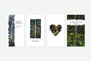 Instagram Stories Forests | CANVA, a Social Media Template by Poego Social (Thumbnail 6 of 12)