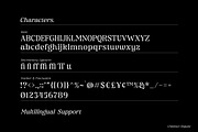 Chiefland Variable - 6 Weight Style, a Serif Font by Letterhend Studio (Thumbnail 8 of 14)