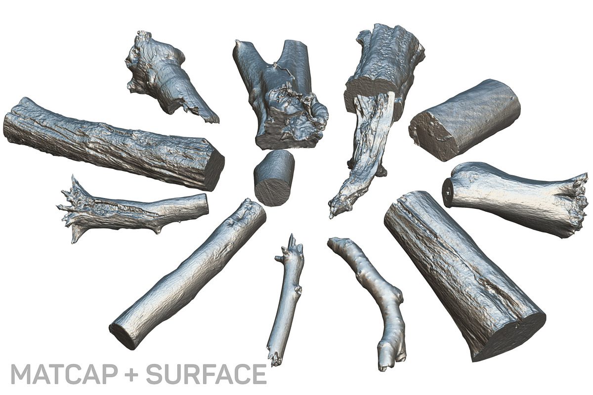 13 Tree Logs, an Environmental 3D Model by Beatheart Creative Studio (Photo 10 of 37)