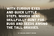 Marsh Hen Font, a Sans Serif Font by Chelsea Burkett (Thumbnail 4 of 7)