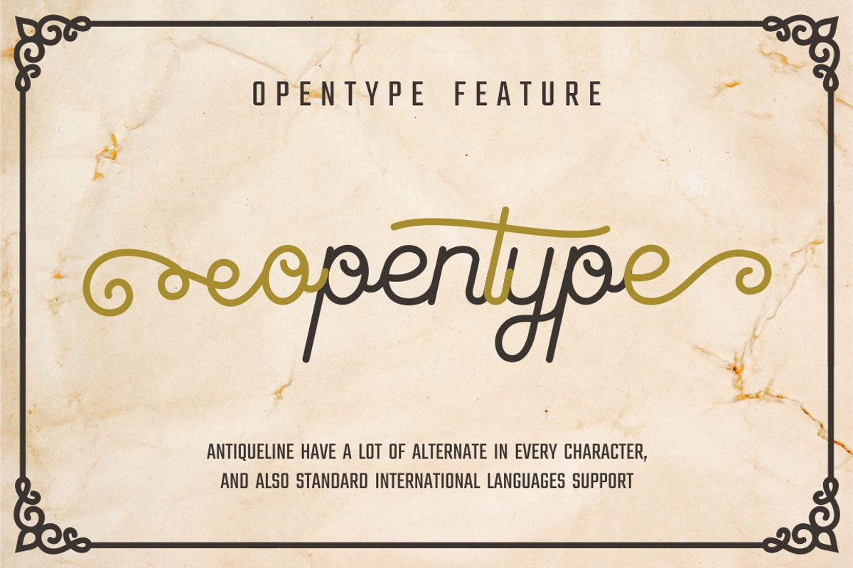 Antiqueline - Monoline Typeface preview 5