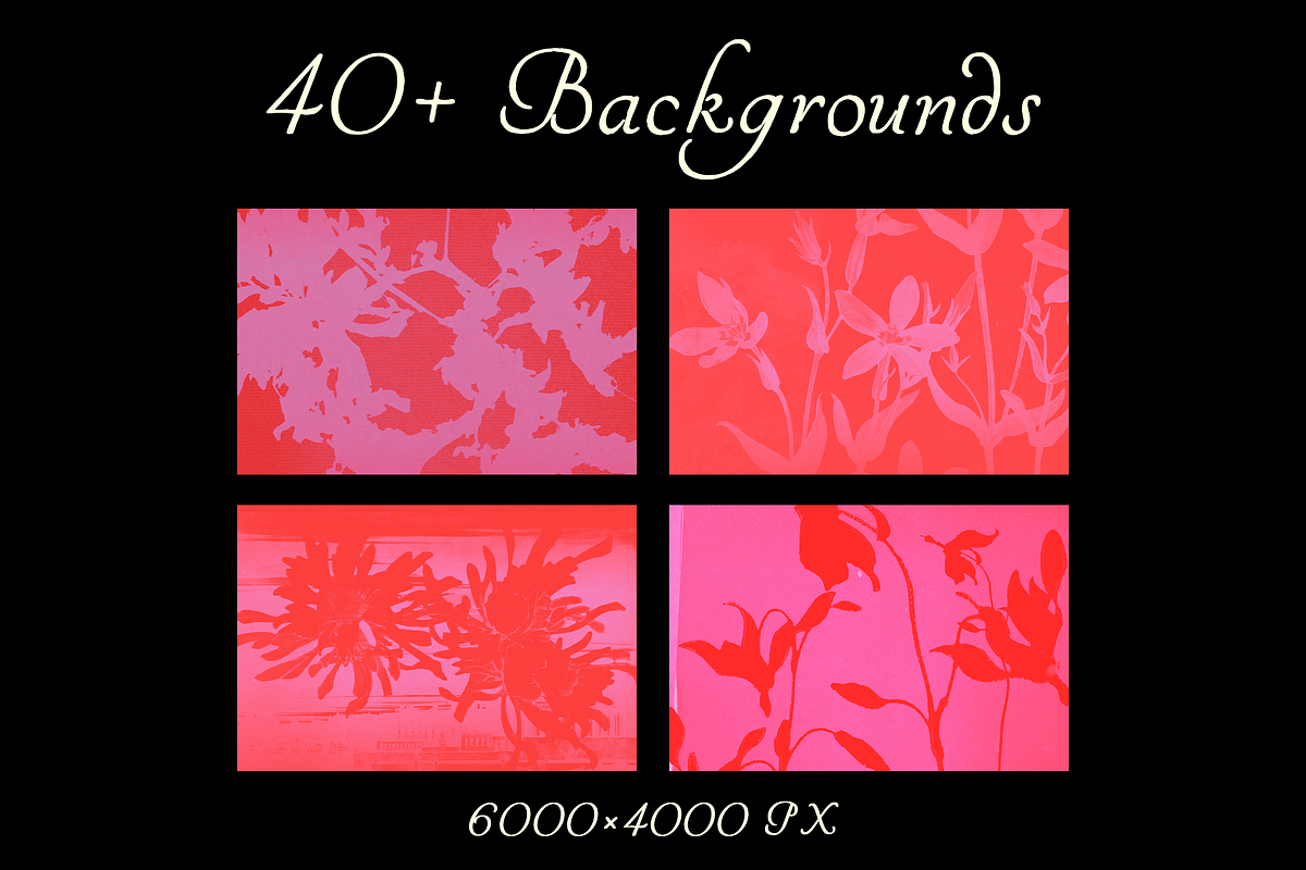 Analog Bloom Backgrounds, a Background Graphic by Lilithcollageart (Photo 4 of 11)