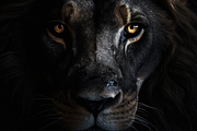 Animals Pack Over 350 UltraHD images, an Animal Photo by Virgo Studio (Thumbnail 3 of 5)