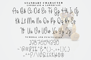 Homestand, a Handwritten Font by FreshTypeINK (Thumbnail 3 of 8)