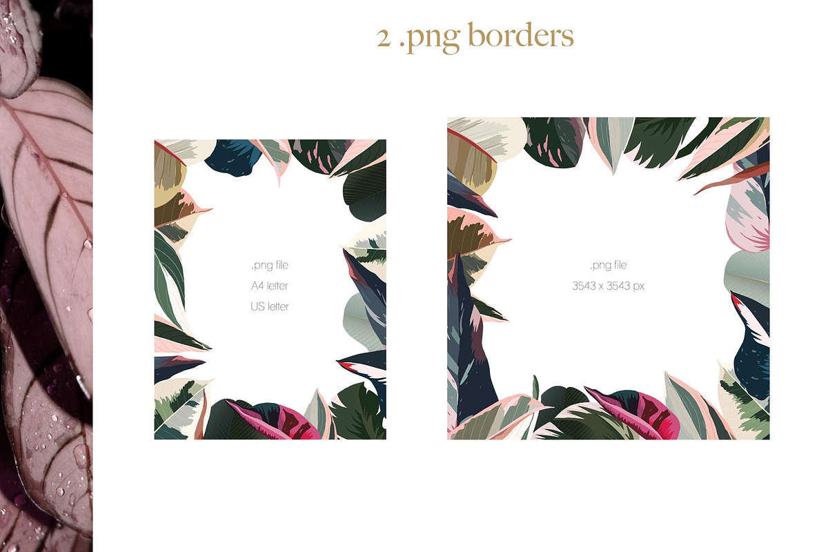 Pink tropical frames and patterns, an Illustration by marie dricot (Photo 8 of 15)