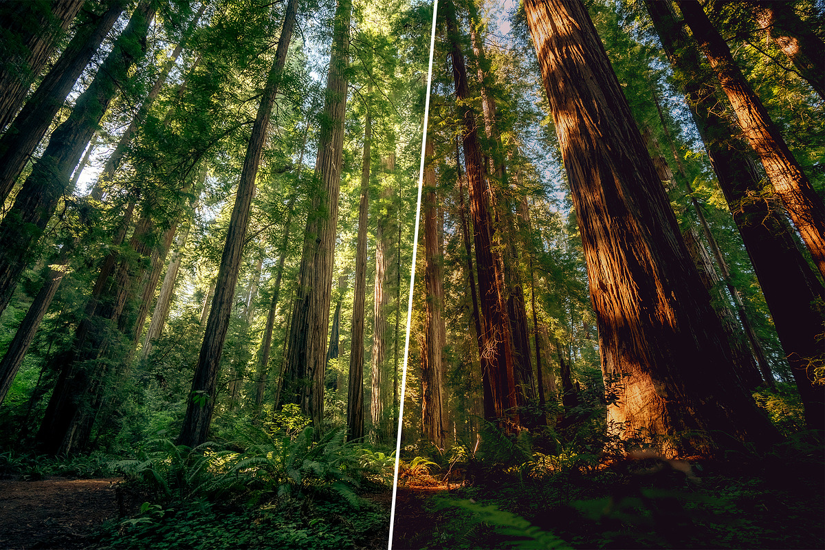 Matte Photoshop Actions, an Action Add-On by Viktor Gjokaj (Photo 6 of 7)