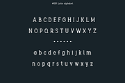 Berry Slab, a Slab Serif Font by vladderkach57 (Thumbnail 2 of 5)