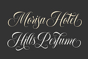 Elisabetta Script, a Script Font by Seniors (Thumbnail 4 of 10)