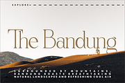 Quiffed Flicker, a Serif Font by And Studio (Thumbnail 6 of 16)