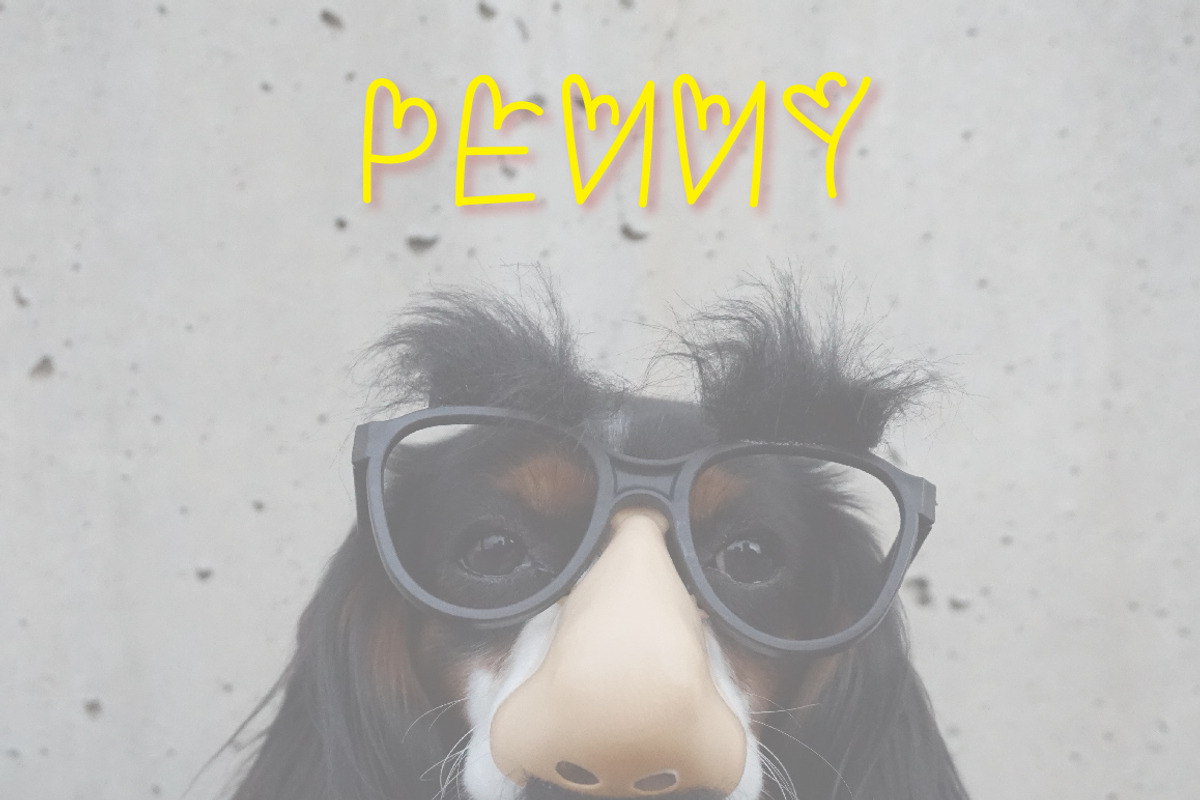 Phanny Can - A cute Font preview 3