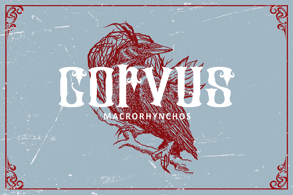 Douglass - blackletter, a Blackletter Font by Brightone (Photo 2 of 8)