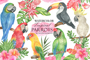 Watercolor Tropical Parrots